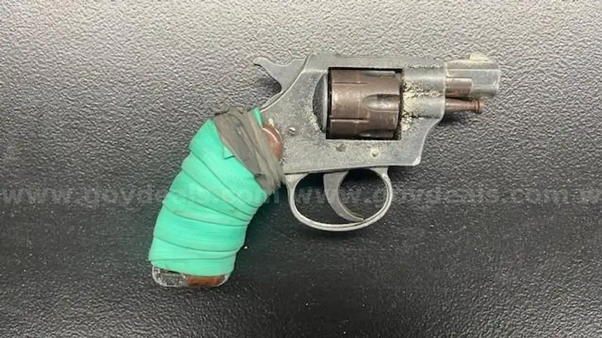 R G Industries .22 Revolver