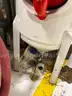 SCHMIDT Abrasive Blaster