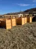 Livestock Cages