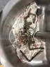 Bradley Semi Circle Wash Fountain