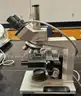 Microscopes