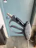 pressure washer
