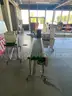 Automatic Conveyor Bagging Machine with Plastic Film Roll Stock &#x2013; Former PPE Packaging Line