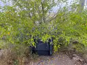 JRB Snow Plow, Model MDLW14B