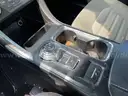 2019 Ford Fusion SEDAN 4-DR, 2.5L L4