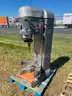 Lot of a Hobart Mixer and Robot Coupe Food Processor