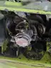 Used Clark Forklift - NOT Running