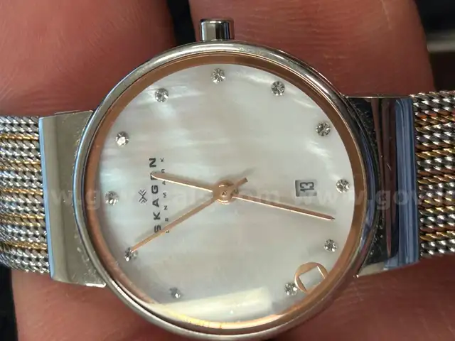 Skagen women&#x27;s watch
