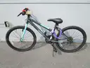 Lot of Five (5) Bicycles