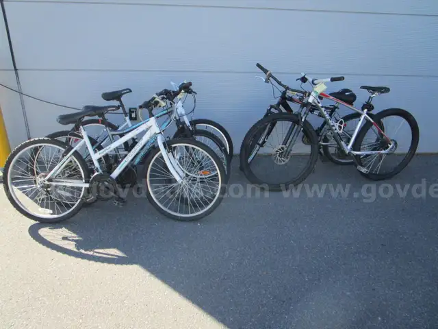Lot of Five (5) Bicycles