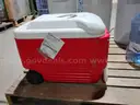 Lot of Four Oasis Water Coolers