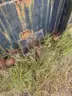 30 Yard Rolloff Container