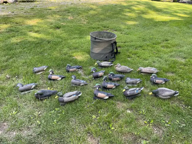 18 Greenhead Gear Duck Decoys and Mesh Decoy Backpack