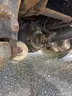 2011 INTERNATIONAL 7400