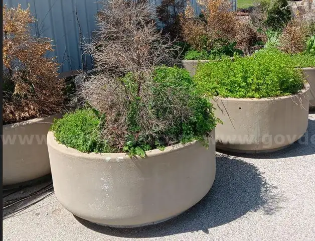 (4) Planters 4&#x27; w X  2&#x27;t