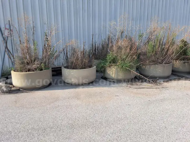 Lot of Planters 4&#x27; W x 2&#x27; T