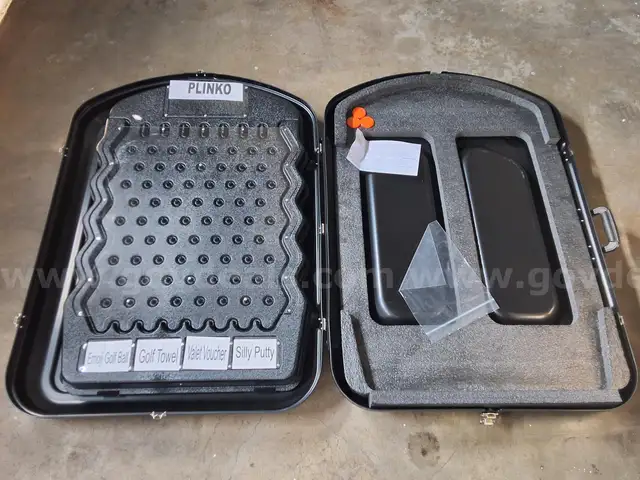 Plinko game in hard case
