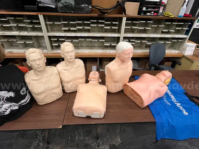6 CPR Training Torso's