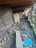 90 Southern Structure Inc  36 x 24