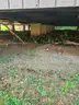 97 Southern Structure Inc  40 x 24