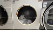 Lot of Commercial Laundry Equipment: Three (3) Washers, Three (3) Dryers with Chemical Pumps