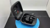 Beats Powerbeats Pro Wireless Earbuds