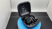Beats Powerbeats Pro Wireless Earbuds