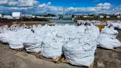 Large Bag of Bricks/Pavers