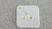 Pair of Earrings