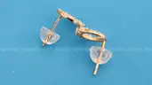 Pair of Earrings