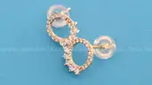 Pair of Earrings