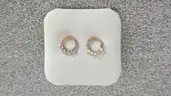 Pair of Earrings