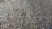 Surplus Aggregate &#x2013; 250 Tonnes FDR Material &#x26; Recycled Asphalt/Concrete Crush