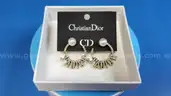 Earrings: Christian Dior (1 pair)