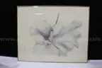 (1) Framed Orchid Flower Art Print &#x2013; Signed