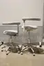 (2) A-dec Lab Stools &#x2013; Adjustable Height, Rolling Base