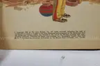 (12) A Little Golden Book Children&#x27;s Books