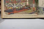 (12) A Little Golden Book Children&#x27;s Books