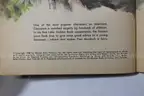 (12) A Little Golden Book Children&#x27;s Books