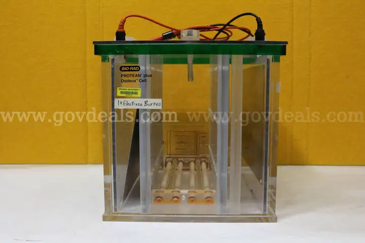 (1) Bio-Rad Protean plus Dodeca Cell