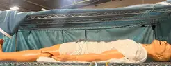 Static Manakin