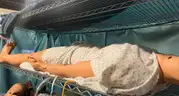 Static Manakin