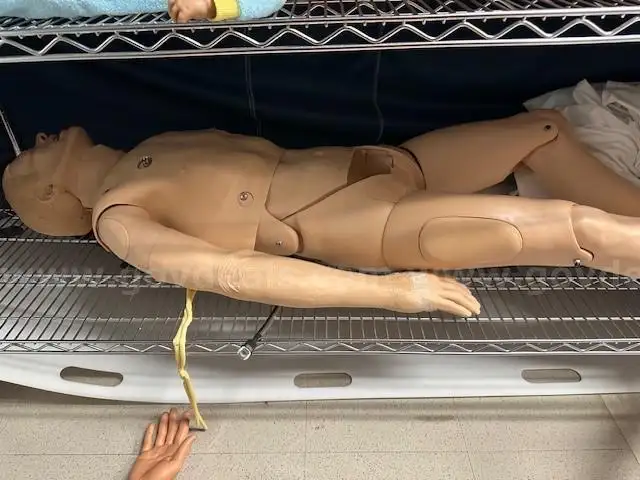 Static Manakin