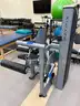 CLASSROOM DOWNSIZING - USED Matrix LEG EXTENSION / LEG CURL Machine