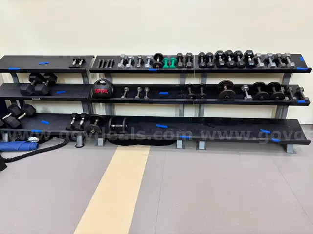 CLASSROOM DOWNSIZING - USED WEIGHT RACK (3) WITH WEIGHTS
