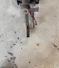 Power Washer REeel w/ Hose