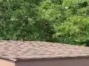 Storage Shed