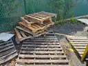 Wood Pallets