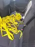 2016, Ford, Focus SE, Hatchback