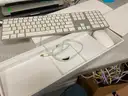 Apple Keyboards/Mice
